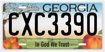 GA license plate CXC3390
