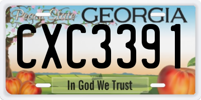 GA license plate CXC3391