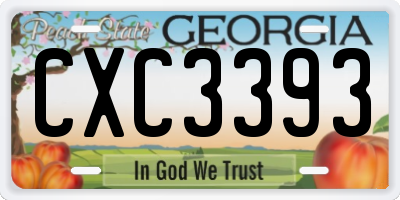 GA license plate CXC3393