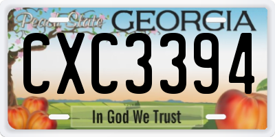 GA license plate CXC3394