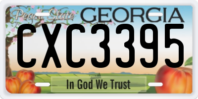 GA license plate CXC3395