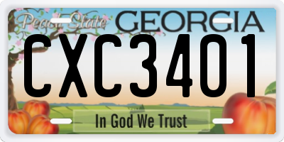 GA license plate CXC3401