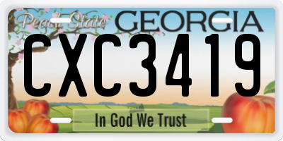 GA license plate CXC3419