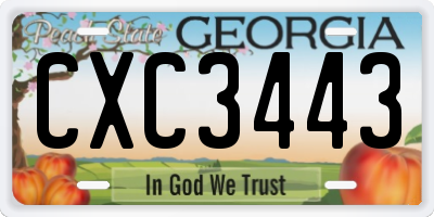 GA license plate CXC3443