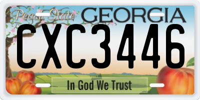 GA license plate CXC3446