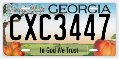 GA license plate CXC3447