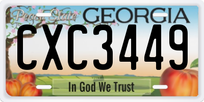 GA license plate CXC3449