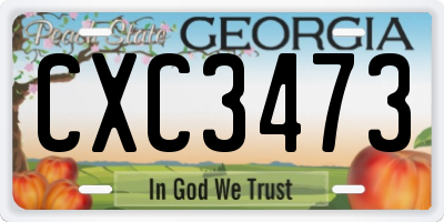 GA license plate CXC3473