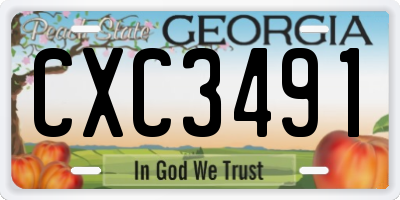 GA license plate CXC3491