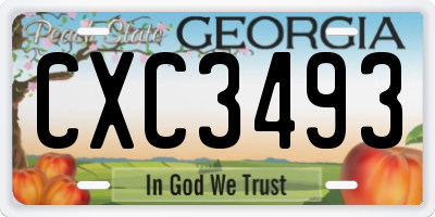GA license plate CXC3493