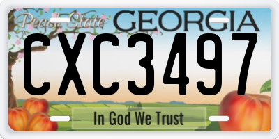GA license plate CXC3497