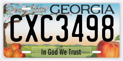 GA license plate CXC3498