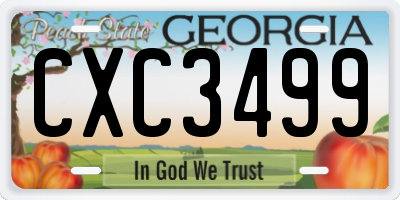 GA license plate CXC3499