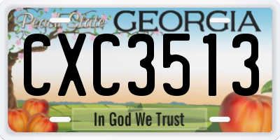 GA license plate CXC3513