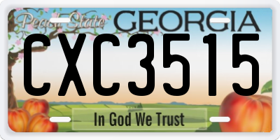 GA license plate CXC3515