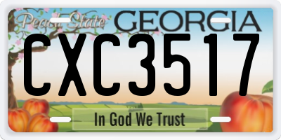 GA license plate CXC3517