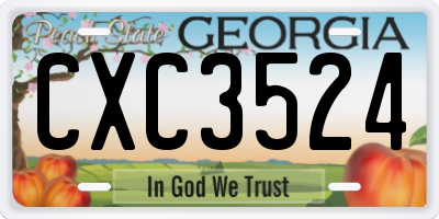 GA license plate CXC3524
