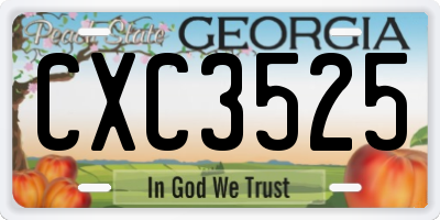 GA license plate CXC3525