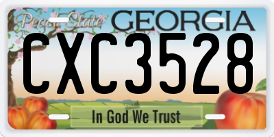 GA license plate CXC3528