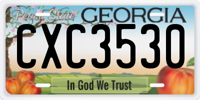 GA license plate CXC3530