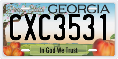 GA license plate CXC3531