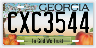 GA license plate CXC3544