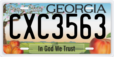 GA license plate CXC3563