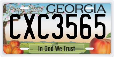 GA license plate CXC3565