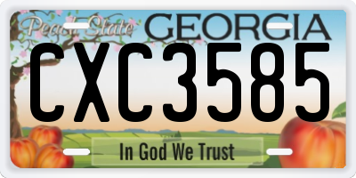 GA license plate CXC3585
