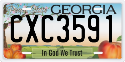 GA license plate CXC3591