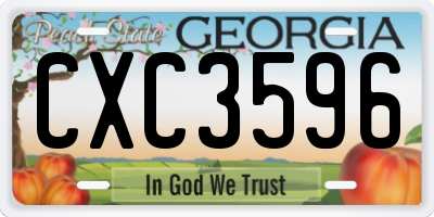 GA license plate CXC3596