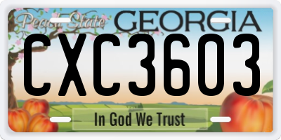 GA license plate CXC3603