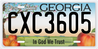 GA license plate CXC3605