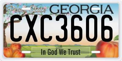 GA license plate CXC3606