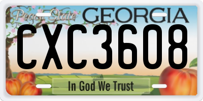 GA license plate CXC3608