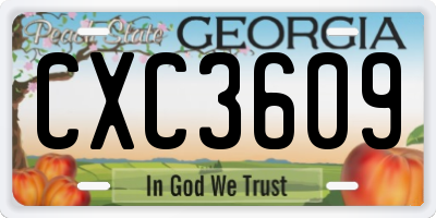 GA license plate CXC3609