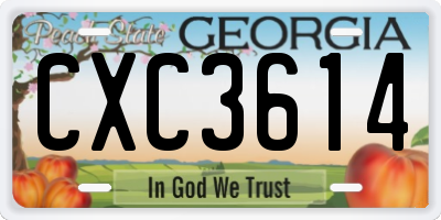 GA license plate CXC3614