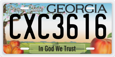 GA license plate CXC3616