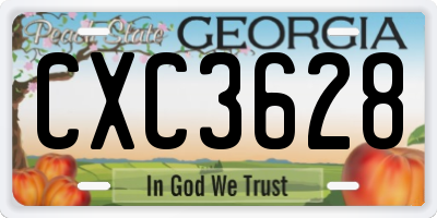 GA license plate CXC3628
