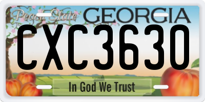 GA license plate CXC3630