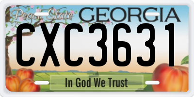GA license plate CXC3631