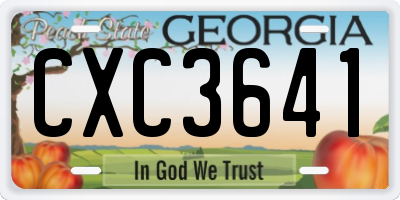 GA license plate CXC3641