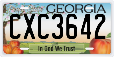 GA license plate CXC3642