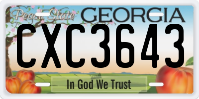 GA license plate CXC3643