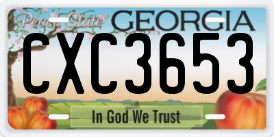 GA license plate CXC3653