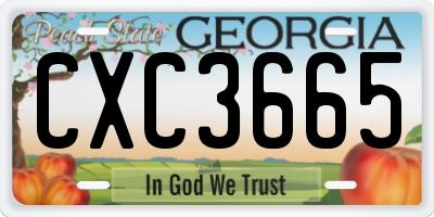 GA license plate CXC3665