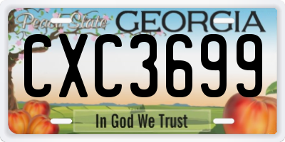 GA license plate CXC3699