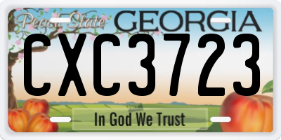 GA license plate CXC3723