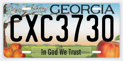 GA license plate CXC3730