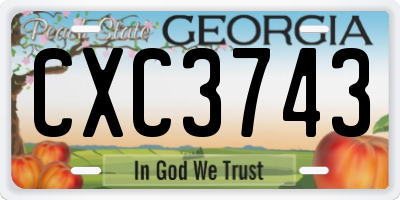 GA license plate CXC3743